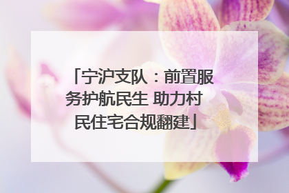 宁沪支队：前置服务护航民生 助力村民住宅合规翻建