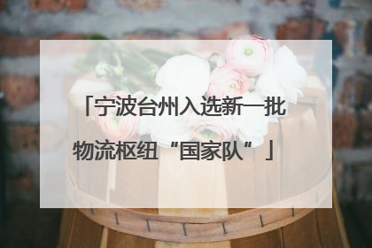 宁波台州入选新一批物流枢纽“国家队”