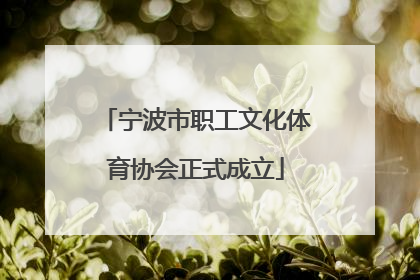 宁波市职工文化体育协会正式成立