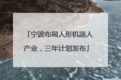 宁波布局人形机器人产业，三年计划发布
