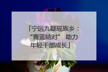 宁远九疑瑶族乡：“青蓝结对” 助力年轻干部成长