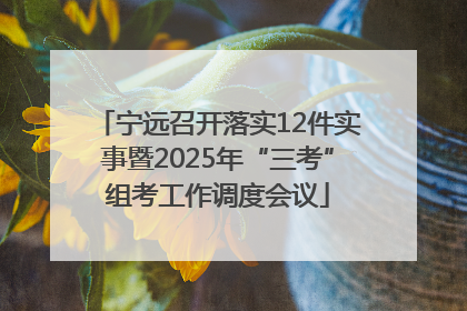 宁远召开落实12件实事暨2025年“三考”组考工作调度会议
