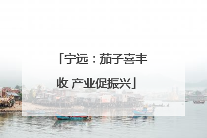 宁远：茄子喜丰收 产业促振兴