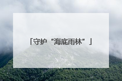 守护“海底雨林”