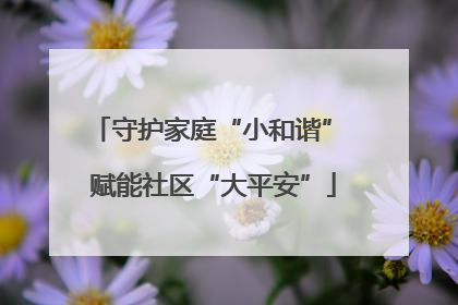 守护家庭“小和谐” 赋能社区“大平安”