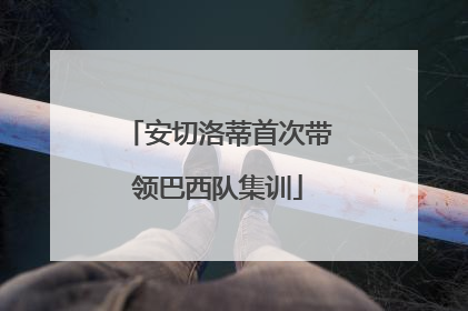 安切洛蒂首次带领巴西队集训