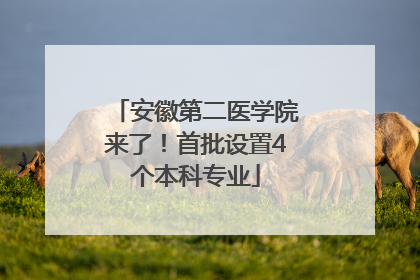 安徽第二医学院来了！首批设置4个本科专业