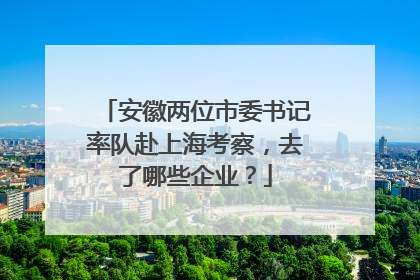 安徽两位市委书记率队赴上海考察，去了哪些企业？