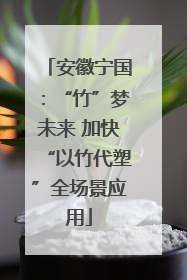安徽宁国：“竹”梦未来 加快“以竹代塑”全场景应用