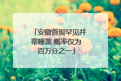 安徽首现罕见并蒂睡莲 概率仅为百万分之一
