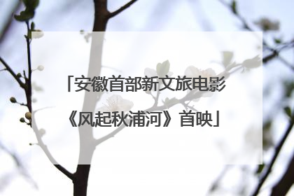 安徽首部新文旅电影《风起秋浦河》首映
