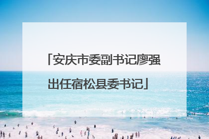 安庆市委副书记廖强出任宿松县委书记