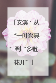 安溪：从“一叶兴县”到“多链花开”