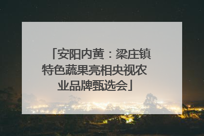 安阳内黄：梁庄镇特色蔬果亮相央视农业品牌甄选会