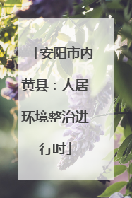 安阳市内黄县：人居环境整治进行时