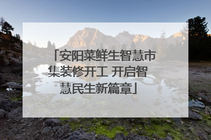 安阳菜鲜生智慧市集装修开工 开启智慧民生新篇章