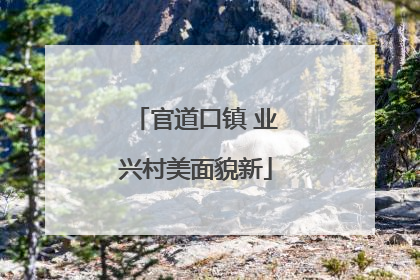 官道口镇 业兴村美面貌新