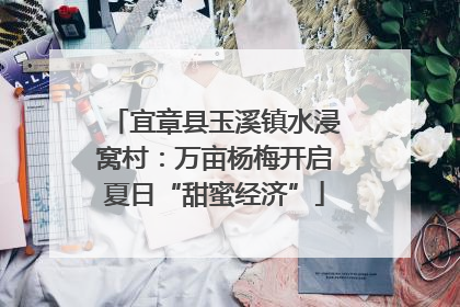 宜章县玉溪镇水浸窝村：万亩杨梅开启夏日“甜蜜经济”