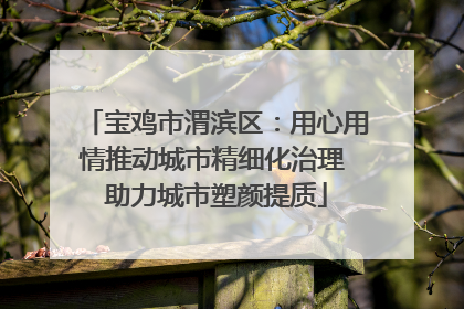 宝鸡市渭滨区：用心用情推动城市精细化治理 助力城市塑颜提质