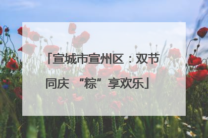 宣城市宣州区：双节同庆 “粽”享欢乐