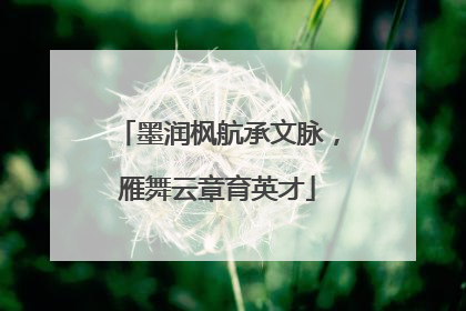 墨润枫航承文脉，雁舞云章育英才