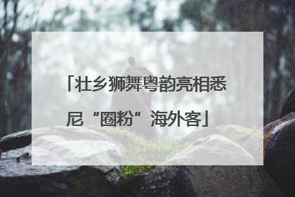 壮乡狮舞粤韵亮相悉尼“圈粉”海外客