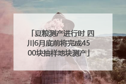 夏粮测产进行时 四川6月底前将完成4500块抽样地块测产
