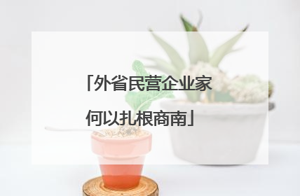 外省民营企业家何以扎根商南