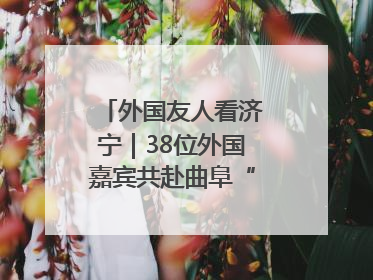外国友人看济宁｜38位外国嘉宾共赴曲阜“文化之约”