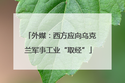 外媒：西方应向乌克兰军事工业“取经”