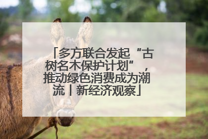 多方联合发起“古树名木保护计划”，推动绿色消费成为潮流丨新经济观察