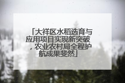 大祥区水稻选育与应用项目实现新突破，农业农村局全程护航成果斐然