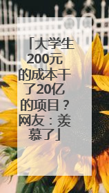 大学生200元的成本干了20亿的项目？网友：羡慕了