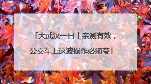 大武汉一日丨亲测有效，公交车上这波操作必须夸