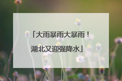 大雨暴雨大暴雨！湖北又迎强降水