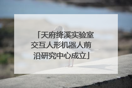 天府绛溪实验室交互人形机器人前沿研究中心成立