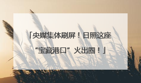 央媒集体刷屏！日照这座“宝藏港口”火出圈！