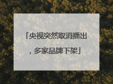 央视突然取消播出，多家品牌下架