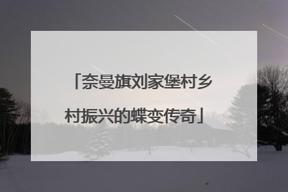 奈曼旗刘家堡村乡村振兴的蝶变传奇