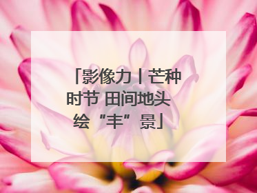 影像力丨芒种时节 田间地头绘“丰”景