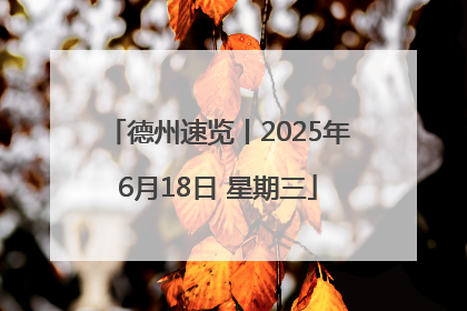 德州速览丨2025年6月18日 星期三