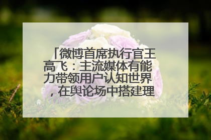 微博首席执行官王高飞：主流媒体有能力带领用户认知世界，在舆论场中搭建理性的讨论空间