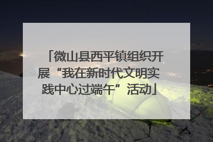 微山县西平镇组织开展“我在新时代文明实践中心过端午”活动