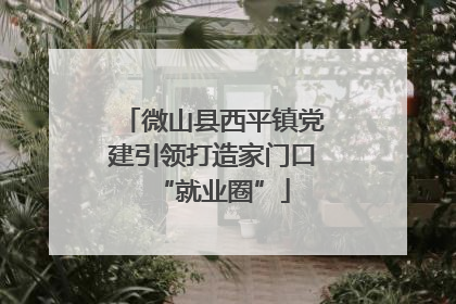 微山县西平镇党建引领打造家门口“就业圈”