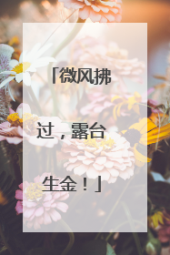 微风拂过，露台生金！