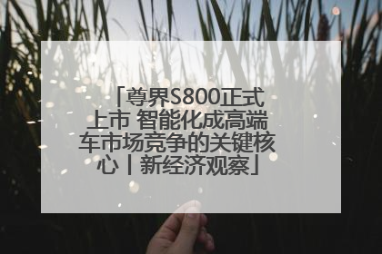 尊界S800正式上市 智能化成高端车市场竞争的关键核心丨新经济观察