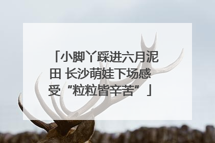 小脚丫踩进六月泥田 长沙萌娃下场感受“粒粒皆辛苦”
