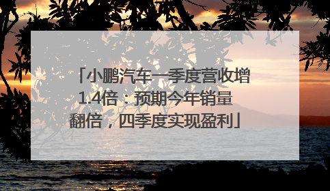 小鹏汽车一季度营收增1.4倍：预期今年销量翻倍，四季度实现盈利