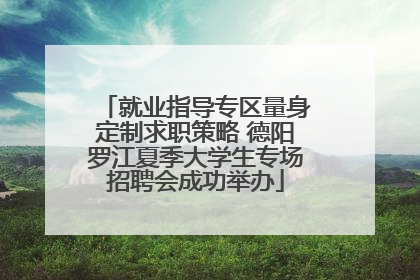 就业指导专区量身定制求职策略 德阳罗江夏季大学生专场招聘会成功举办