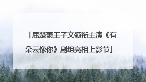 屈楚萧王子文领衔主演《有朵云像你》剧组亮相上影节